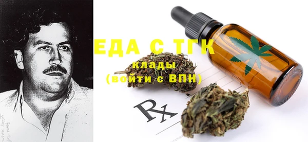 стаф Магас