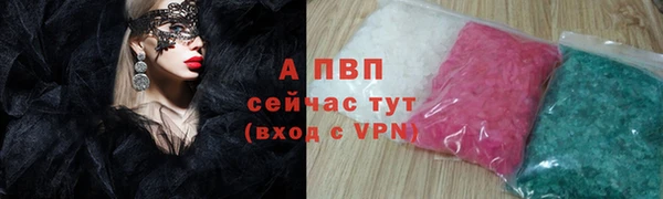 стаф Магас