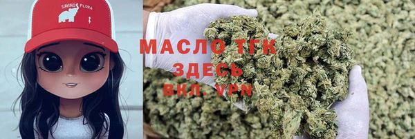 стаф Магас