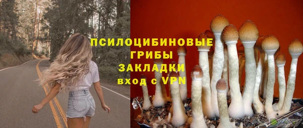 прущая мука Майский