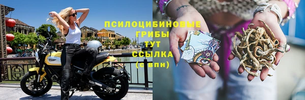 МДПВ Медвежьегорск