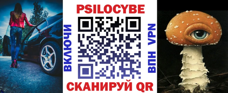 блэк спрут ссылки Краснокамск Псилоцибиновые грибы Psilocybe